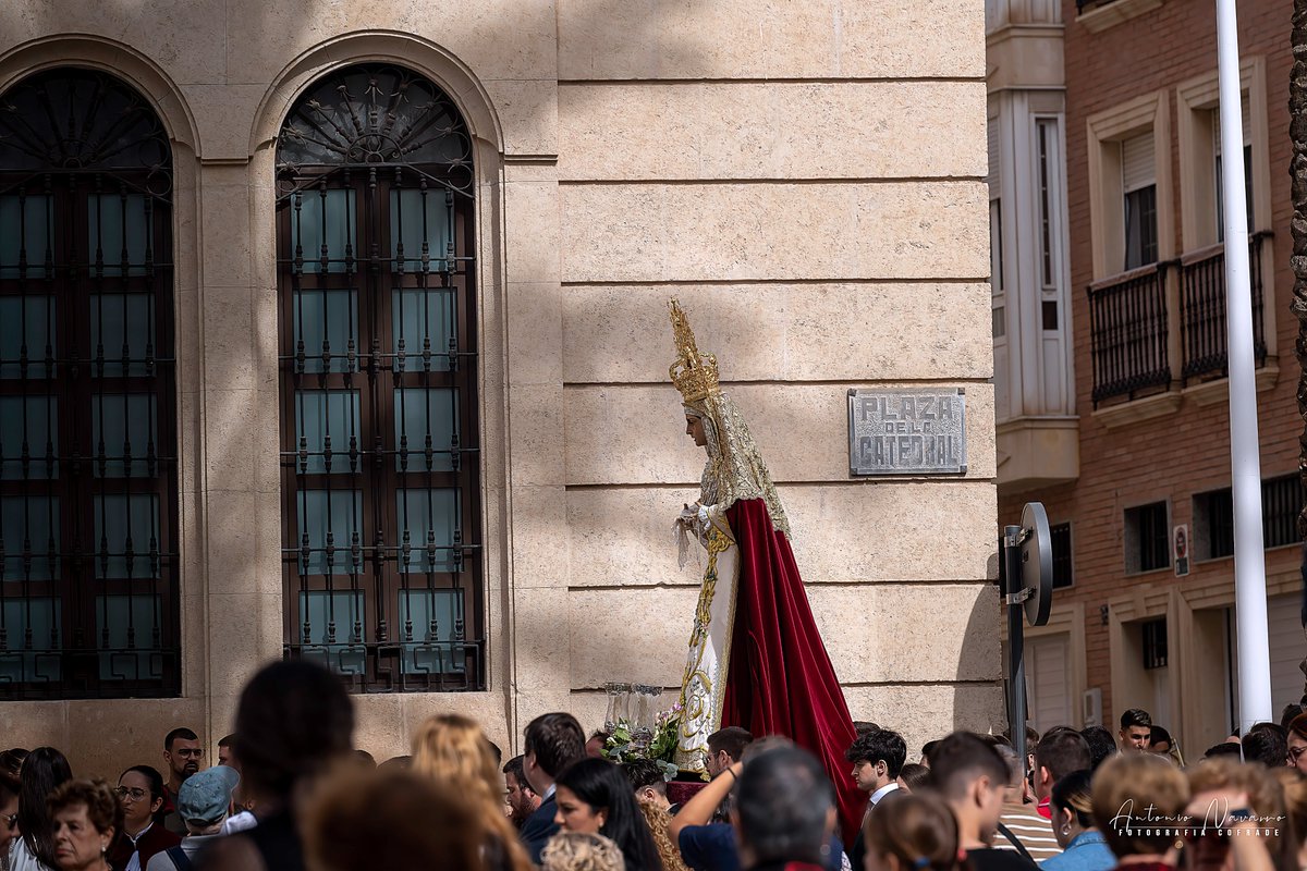 navarrodelpino's tweet photo. Galería fotográfica, del Traslado, de la Virgen de Gracia y Amparo (2) de 3 https://t.co/NOjf7yPOhf