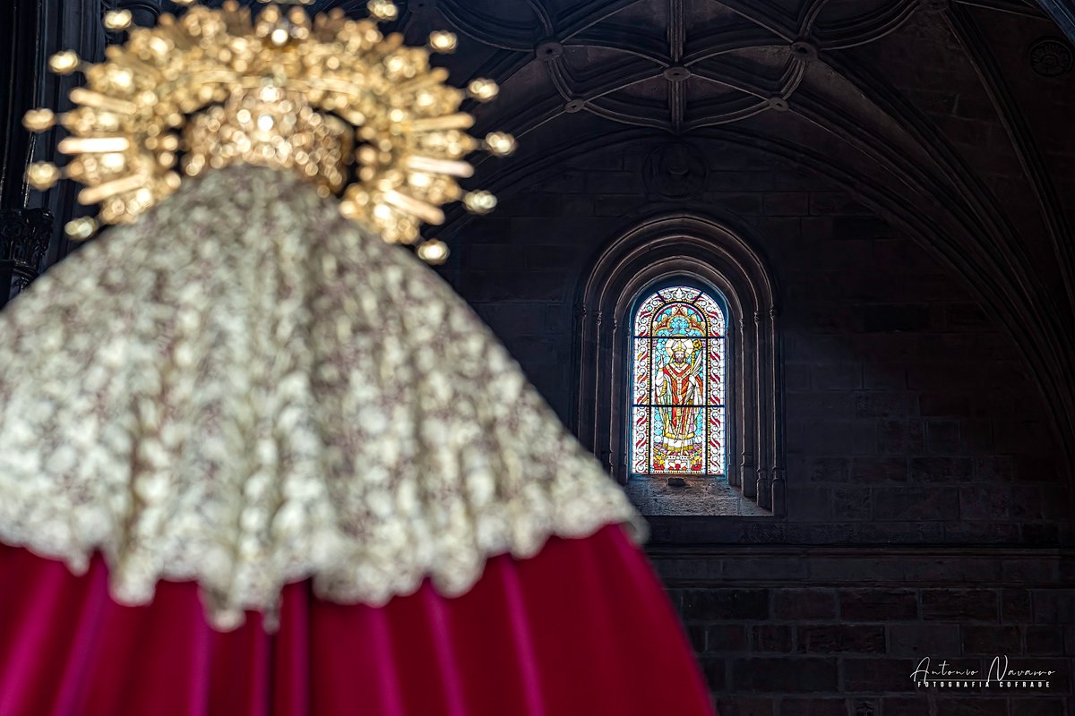 navarrodelpino's tweet photo. Galería fotográfica, del Traslado, de la Virgen de Gracia y Amparo (2) de 3 https://t.co/NOjf7yPOhf