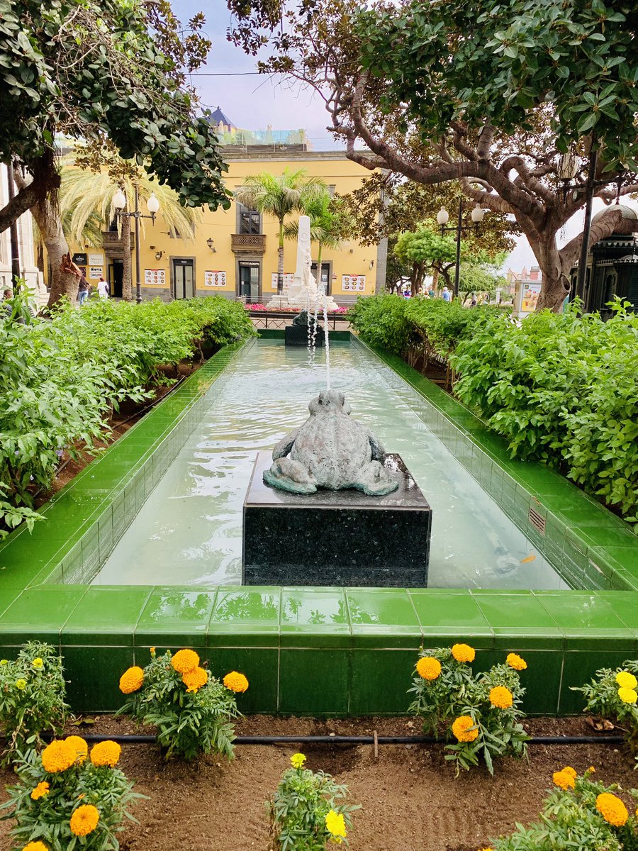 jfguzmanm's tweet photo. Hoy tocó #Vegueta #Triana #SanTelmo #LPGC #Pateando #FelizLunes #BuenaSemana #GranCanaria https://t.co/8tKNAyyOTB