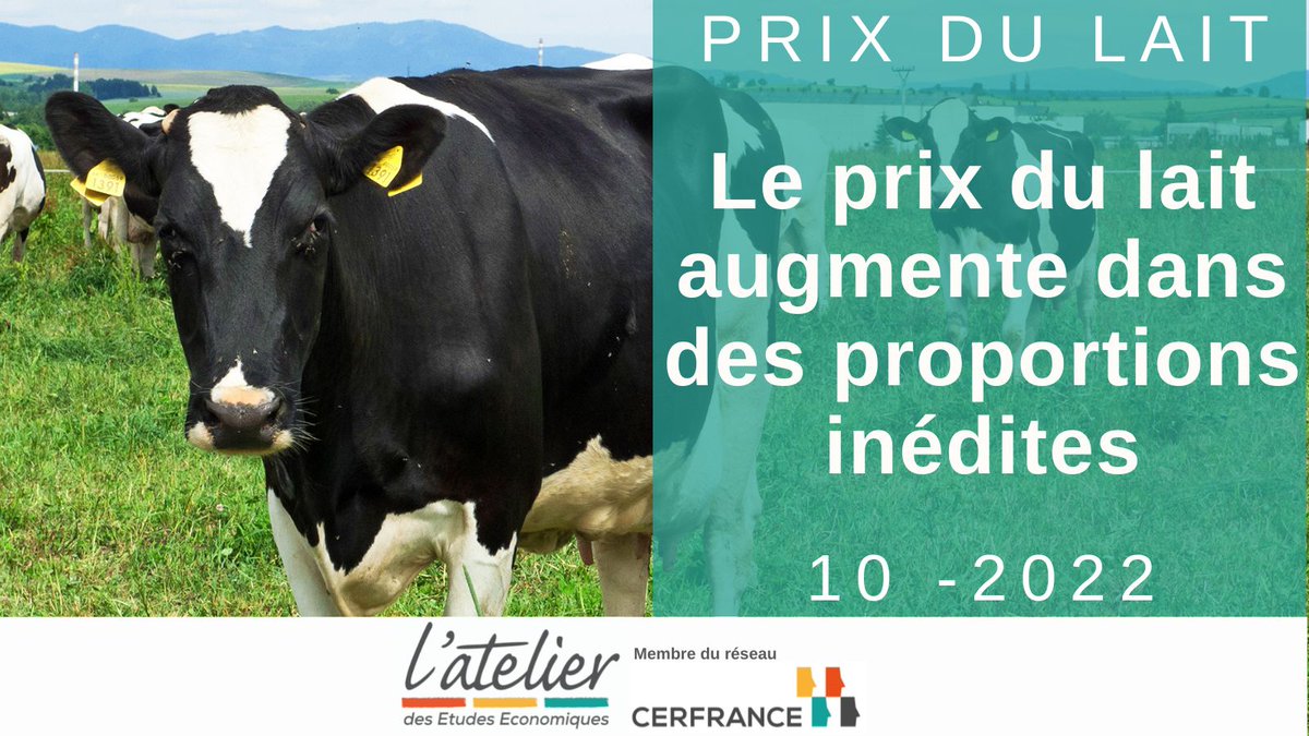 #Prixdulait 390 à 430 €/1 000 l printemps 2023

Demande mondiale soutenue➕offre lait limitée
▶️tension sur matières premières laitières
Valorisation beurre-poudre dépasse 5⃣0⃣0⃣ €/1 000 l
 Prix du lait ↗️ 
⚠️éleveurs vont devoir faire face à ↗️ charges
normandiemaine.cerfrance.fr/latelier/prix-…