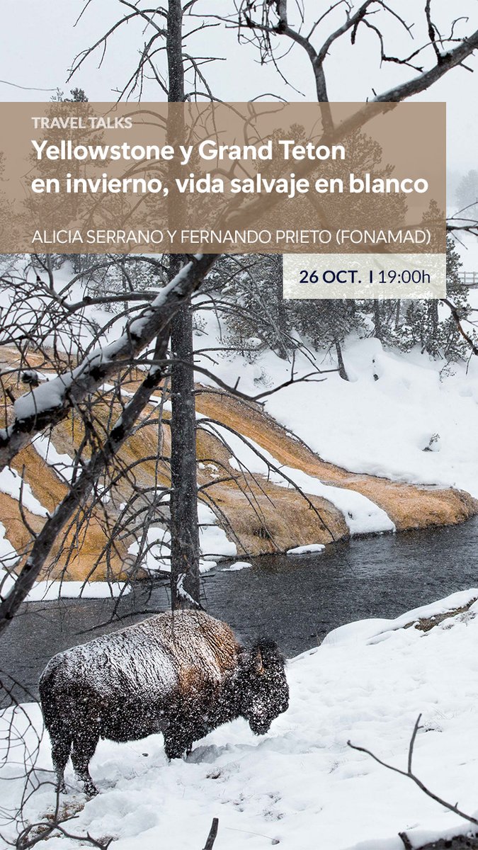 XperienceMadrid's tweet photo. No te pierdas...
🗓️25/10: Mercadillos navideños por el Rin con @cataitours
🗓️26/10: Yellowstone y Grand Teton en invierno @FONAMAD
🗓️27/10: Encuentros polares con @cachojavi: De Murcia a Groenlandia. Cuando la aventura llama
Agenda👉 https://t.co/ftc9LmwzMG… https://t.co/KOO3eQOrFi