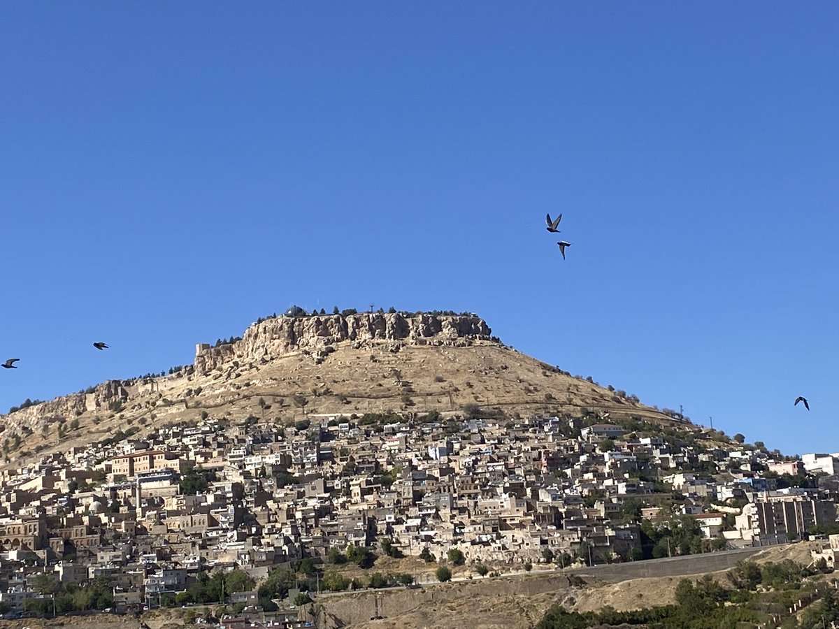 Dünyada ilk kumaş dokumacılığının iplik boyama ve keçeciliğin Mardin'de başladığını Dünyada ilk dericilik sanatının debbağlık adıyla Mardin'de başladığını Mardin'de buzdolabının olmadığı yıllarda bozulmasın diye yiyeceklerin kuyulara sarkıtıldığını