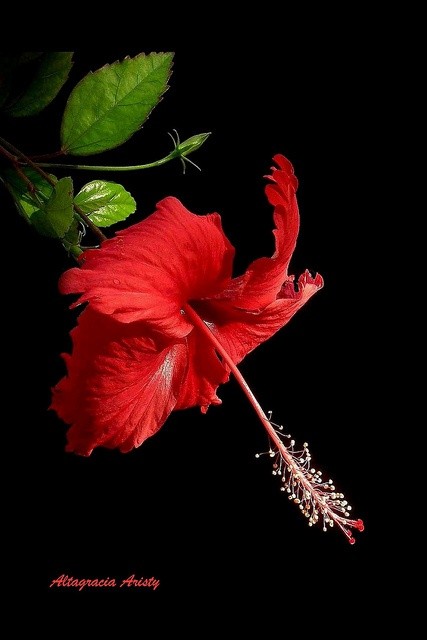 MarieKA87399901's tweet photo. @arnaud_gallais Bonjour ! 😊 https://t.co/WCsPgsaXoM