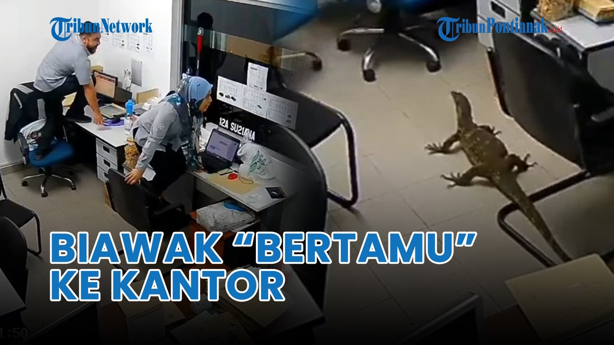 tribunpontianak's tweet photo. ®️ 🔴 Biawak “Bertamu” ke Kantor Bikin Karyawan Panik Sampai Naik ke Meja https://t.co/8fRTAi1bOT lewat @YouTube
#biawak #bertamu #kantor #karyawan #heboh https://t.co/MTQWCcp06s