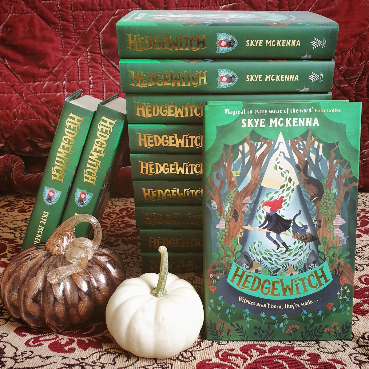 GIVEAWAY! 🎃 It's only a week until Halloween and @KidsWelbeck and I are giving away 13 (!) individual copies of #Hedgewitch - one for each member of 1st Hedgely Coven. Follow and retweet to enter. Closes midnight 31st October 🍂