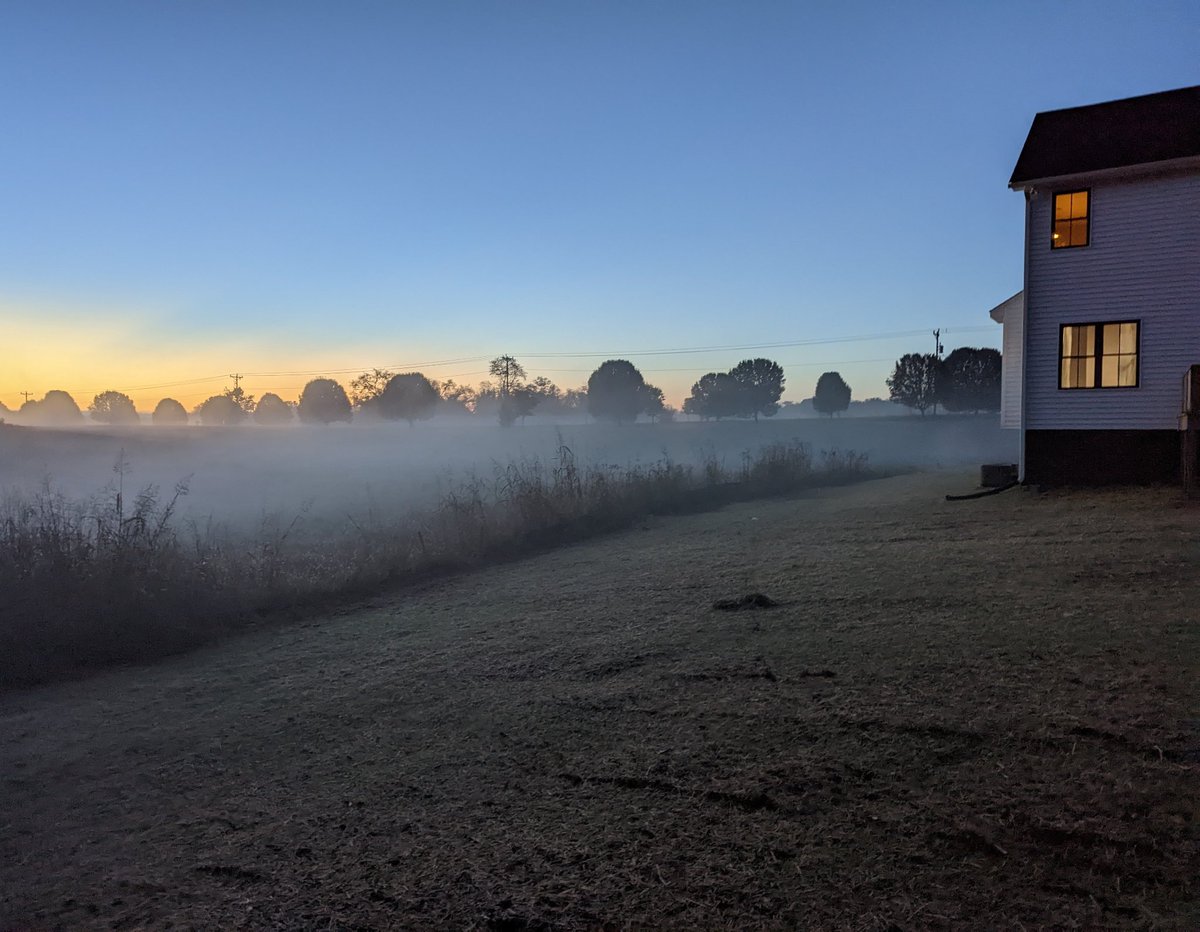 Bradley R tweet media