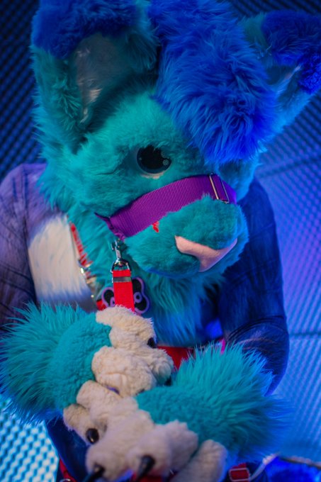 I am a good Cat i swear! OwO  #Murrsuitmonday #murrsuit #leash #cat #muzzle https://t.co/W59X9Y5Rro<a href="/tag/murrsuitmonday"class="tags">#Murrsuitmonday</a><a href="/tag/cat"class="tags"><span>#cat</span></a><a href="/tag/leash"class="tags"><span>#leash</span></a><a href="/tag/muzzle"class="tags"><span>#muzzle</span></a><a href="/tag/murrsuit"class="tags"><span>#murrsuit</span></a>