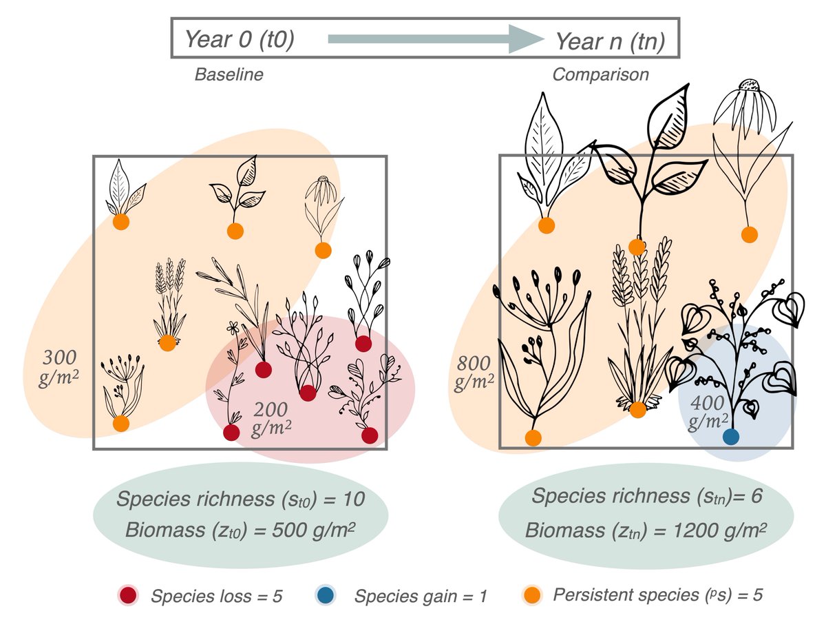 Our collaborative @NutNetGlobal synthesis, 'Linking changes in species composition and biomass in a globally distributed grassland experiment' is now Open Access (including: paper, data, & code) in @Ecology_Letters here: onlinelibrary.wiley.com/doi/10.1111/el…