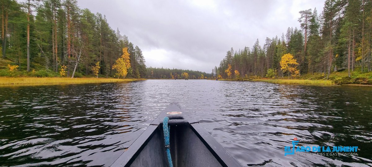 FoodTravelTL's tweet photo. #Laponia en #Otoño 🍁 es todo un descubrimiento para todos los sentidos. Con #Icarion @w2mpro puedes hacerlo de manera #sostenible y #Responsable #adnresponsable #Laponiaesicarion @SilviPrado https://t.co/fxuVRrd406 https://t.co/LWs0kh2P9m