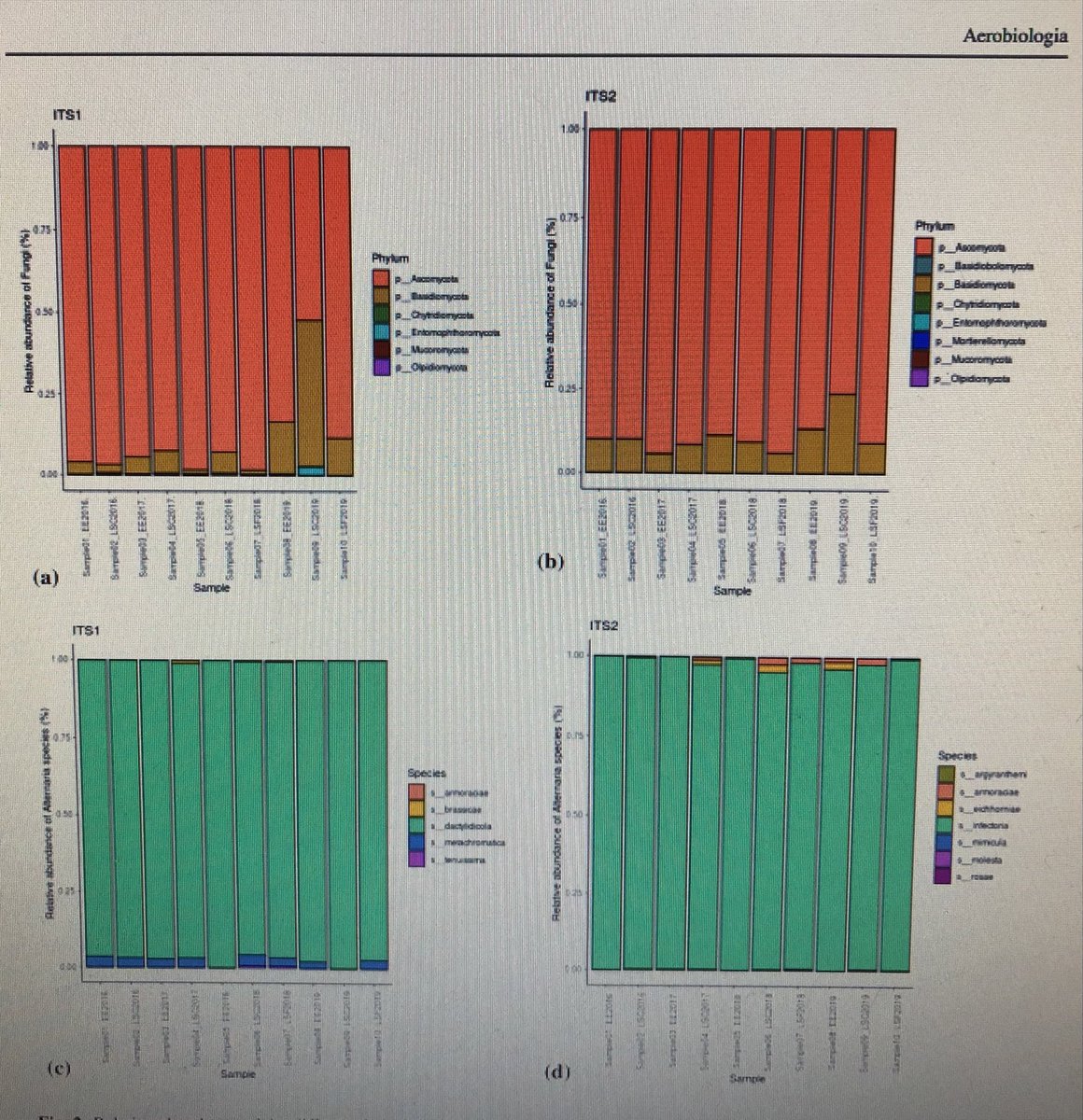 ApanguPhill's tweet photo. In this new paper, we have shown the  diversity and abundance of different Alternaria species (including rare ones) in air samples collected from nearby sites. Thanks to all collaborators in this paper. https://t.co/8GzNvzBoP5 https://t.co/08jd6nxQ2i