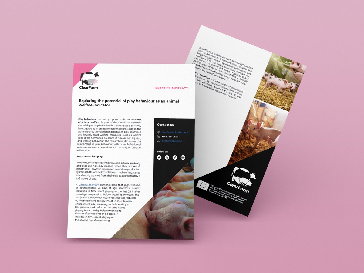 ClearFarmEU's tweet photo. Read our #PracticeAbstract 7 to peep on the findings of the #ClearFarm researchers on the validity of #playbehaviour in #weanerpigs as an #animalwelfare indicator.
🐷https://t.co/t8zURSWims
#H2020 #PLF #H2020Research #EUResearch #PrecisionLivestockFarming #SmartFarming https://t.co/gR1OjQ6Wli
