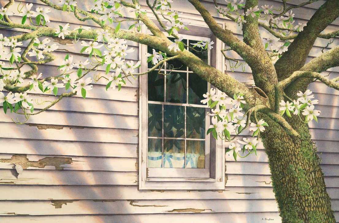 amwatercolor's tweet photo. Ambassador of the Week: Alan Shuptrine!

A painter known for his Southern and Appalachian Mountains genre, Alan Shuptrine has extended his reputation from a renowned framemaker and water gilder to a nationally acclaimed watercolorist.

https://t.co/1DxbIqAjiB https://t.co/0LICpTkMZv