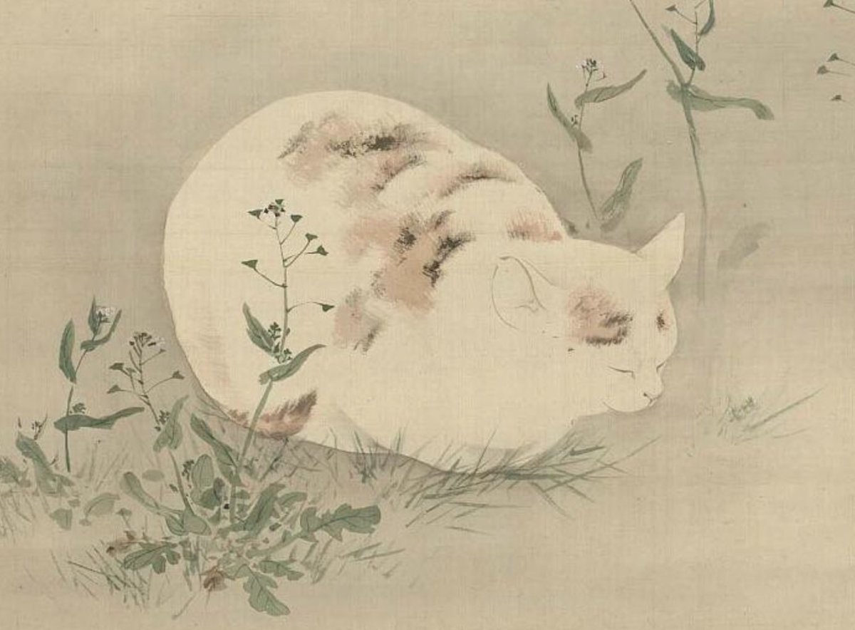 Cat and butterfly (detail), ca. mid 19th century. collections.mfa.org/objects/25144/…