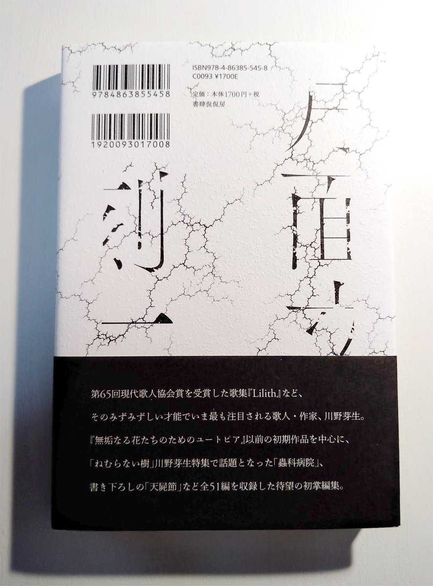 川野芽生さんの掌編集『月面文字翻刻一例』(書肆侃侃房)、なんと美しい装幀…。 