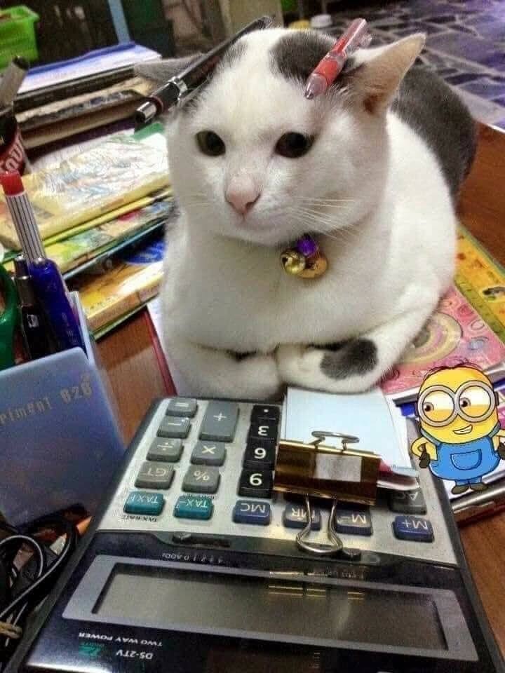 calculando calculaciones