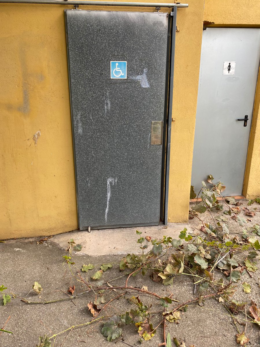 BautistDomingo's tweet photo. Lavabo para personas con movilidad reducida con una gran rama delante de la puerta que dificulta o imposibilita la entrada. Cuidemos i colaboremos entre todos para mantener accesibles los espacios públicos. #sharediversitas #diversitatuoc1 https://t.co/XqQVt37wmY