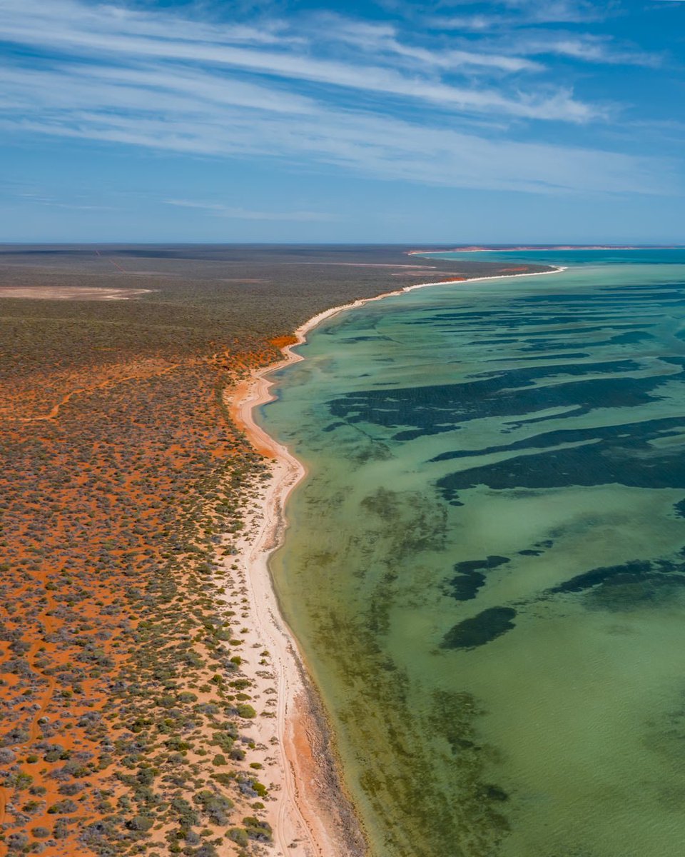 Exploring the unique beauty of the Shark Bay World Heritage Area 💕 
.
#seeaustralia #wathedreamstate #comeandsaygday #westernaustralia #sharkbay #australiascoralcoast