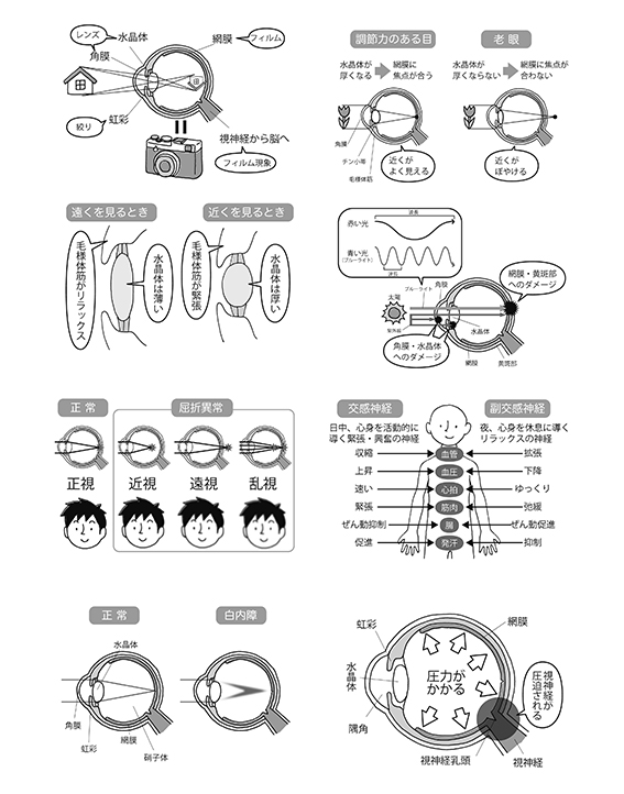 大事な箇所を間違えてたので再投稿です😇
👍していただいた方々すみません!

【お仕事】
以前SBクリエイティブで中面のイラストを描かせていただいた『たった10秒の眼トレ』が三笠書房で文庫化されました〜☺️
https://t.co/gbGs2toB4Q

著者:日比野佐和子
監修:林田康隆
発行:三笠書房
(敬称略) 