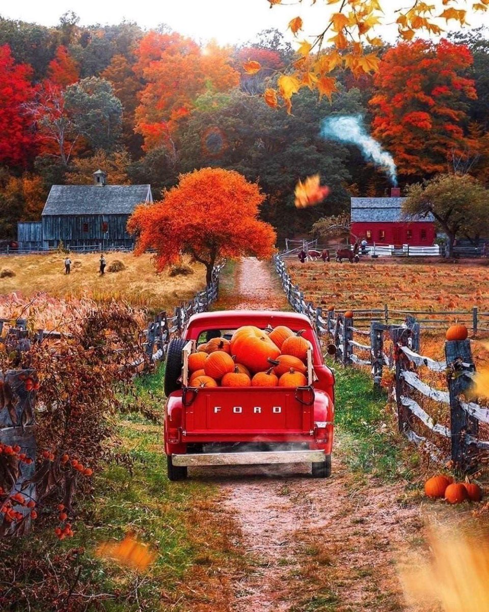 #Vermont 🇺🇸 #AutumnFalls #fallcolors #pumpkinseason 🎃#HalloweenVibes 🎃