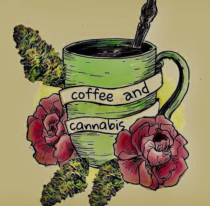 StonedOcto's tweet photo. Oof big migraine to start my Monday morning, where's the #coffee &amp; #cannabis? https://t.co/JV0E8CiBvG