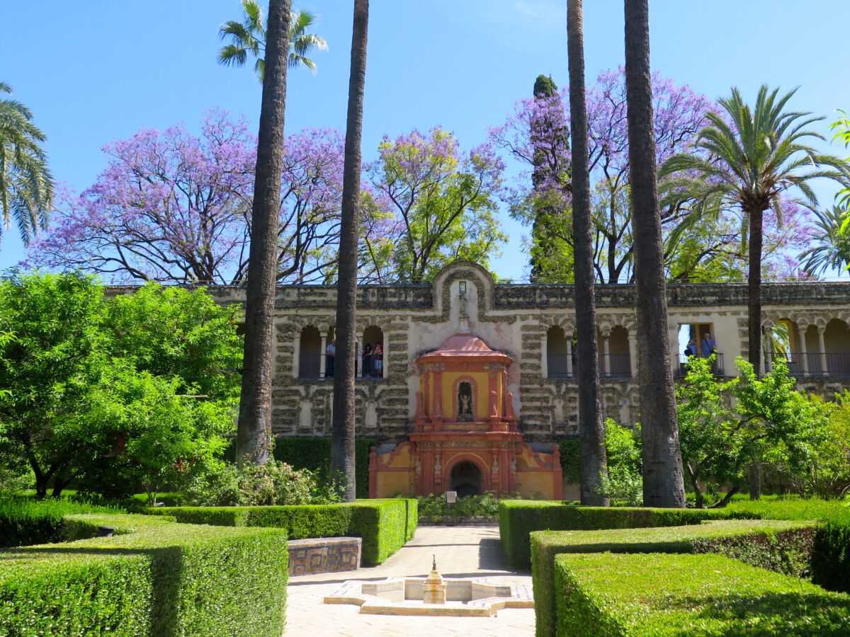 Al in de tiende eeuw is men met het bouwen van het Real Alcazar paleis begonnen, waarna de verschillende elkaar opvolgende heersers en vorsten hun steentje hebben bijgedragen. Ook in Jardines de Real Alcazar is dat duidelijk terug te zien.
gardentours.nl/tuinen/jardine…