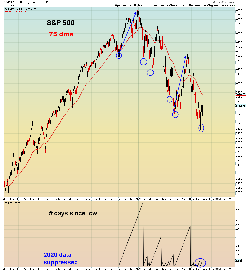 I wrote a program to measure "rally strength" based upon the number of days from the most recent market low. Each time the 75 dma is crossed over, the counter resets. 

This "rally" driven by what Zerohedge calls the biggest buy program in history, is barely visible so far.