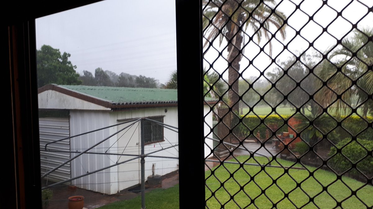The garage The Saints rehearsed in, built by my dad[18/09/1929-20/10/2022 rip] in the 1960's. I took this pic from my old bedroom window the day after he died. The space behind the fence used to be a cow paddock but is now a part of Ed Kuepper Park...dad and mum were very proud