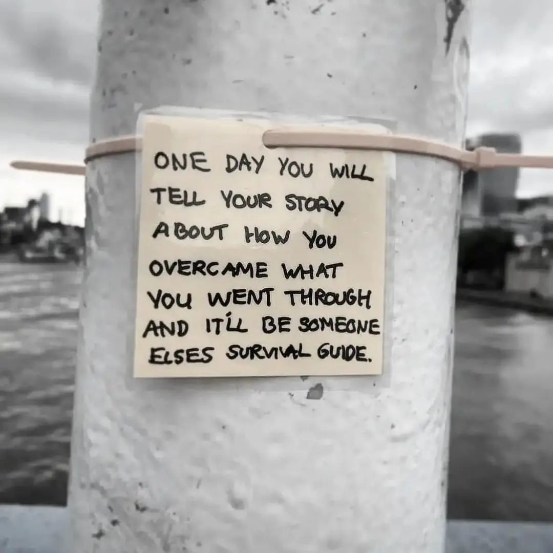 Everest (@everest__x) on Twitter photo 