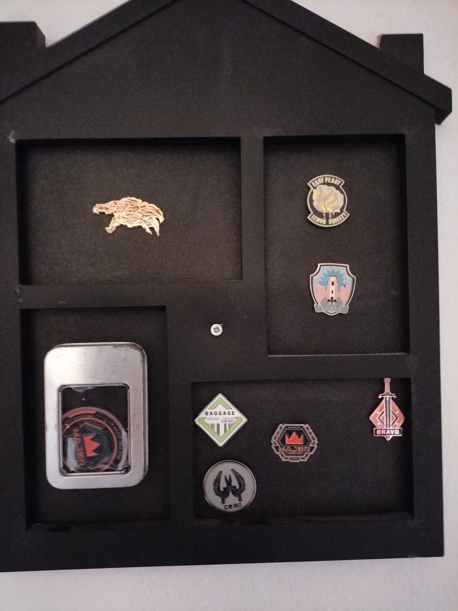 Is getting bigger.

Thanks <a href="/KythFPS/">Lewis</a> , amazing deal for the Bravo and the Guardian pin. I Will buy more.