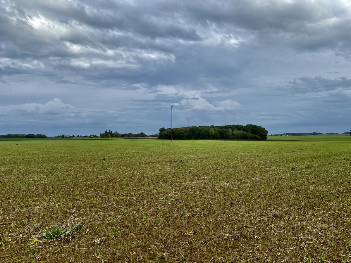GaillardCed's tweet photo. Pendant que sa rayonne chez moi, on aide le collègue dans ses semis en agriculture bio 🤝🌱🌾 #agriculture #semis #agriculturebiologique #entraide #jeuneagriculteur #yonne https://t.co/eFLIuiL2IG
