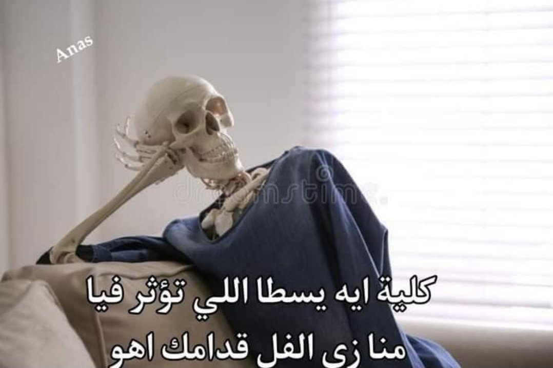 True Memes (@truememes_) on Twitter photo 