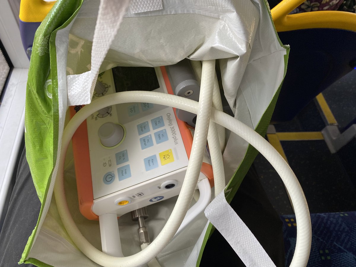 Russell 🏳️‍🌈 tweet media