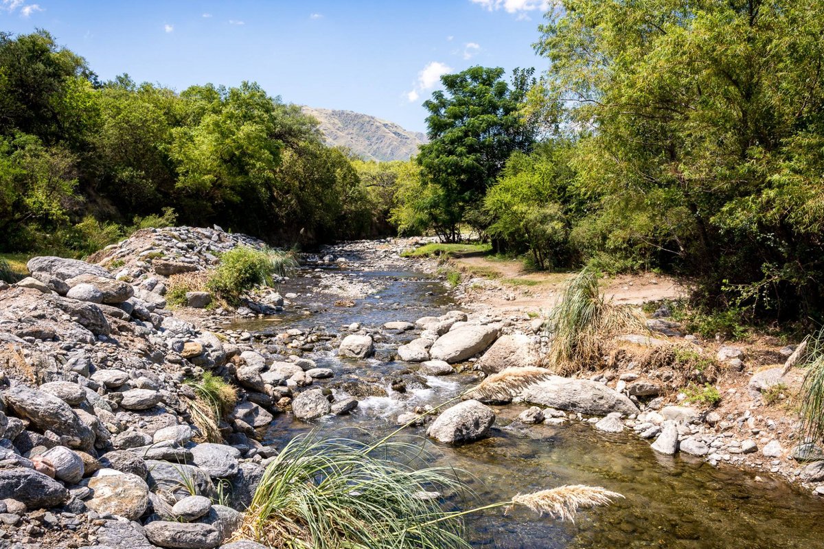 turismocba's tweet photo. #Luyaba, un lugar mágico en #Traslasierra 🌱🌳🍃
CÓRDOBA❤️VOS
#CórdobaTurismo #TurismoEnCórdoba #SierrasDeCórdoba #Cba #Argentina #CórdobaTodoElAño https://t.co/OSL8ox2Xe6