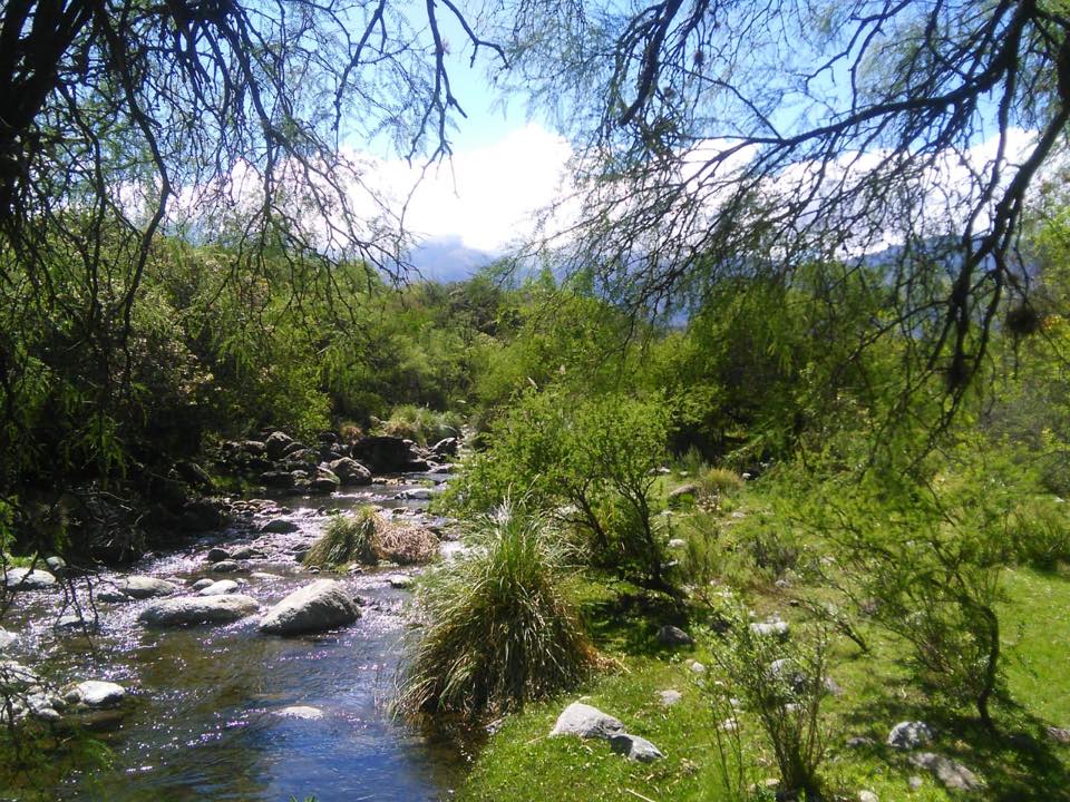turismocba's tweet photo. #Luyaba, un lugar mágico en #Traslasierra 🌱🌳🍃
CÓRDOBA❤️VOS
#CórdobaTurismo #TurismoEnCórdoba #SierrasDeCórdoba #Cba #Argentina #CórdobaTodoElAño https://t.co/OSL8ox2Xe6