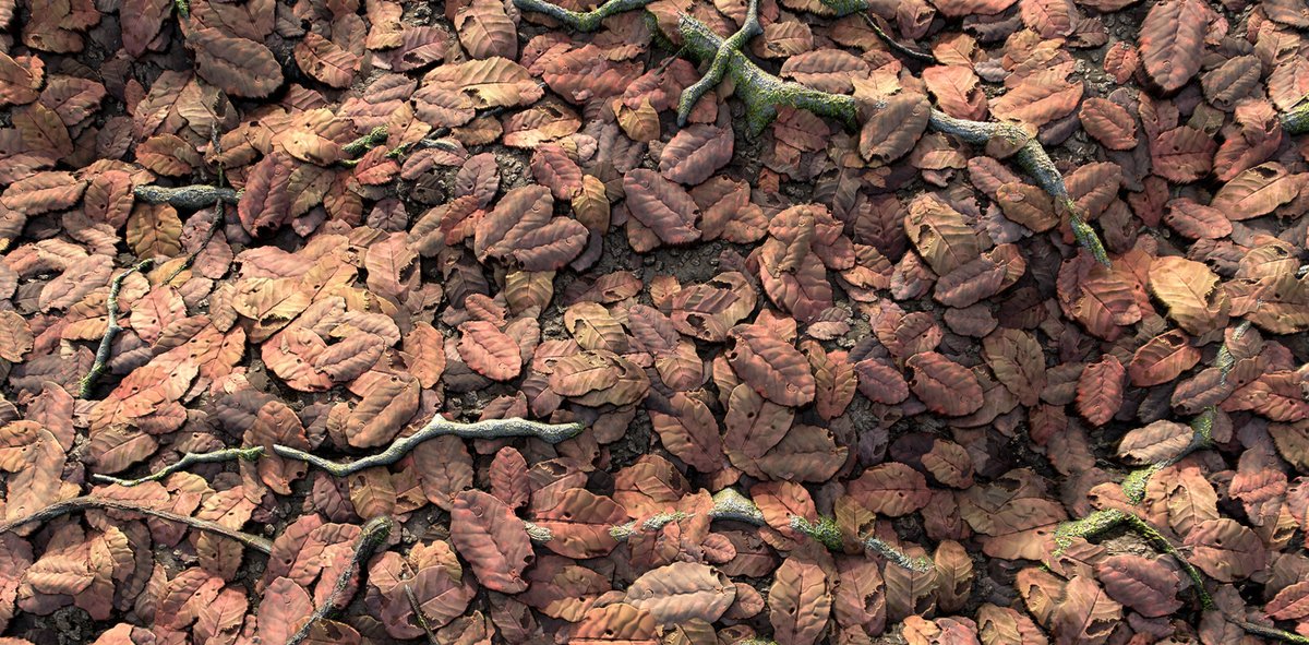 80Level's tweet photo. .@Adamations showed the detailed workflow behind the Fallen Leaves material and explained how the nodes were arranged for the leaves, twigs, and moss:

https://t.co/rZBvCmIFQK

#3dart #materialart #3dmaterials #substance3ddesigner #substancedesigner @Substance3D https://t.co/y5DdKPbfZC