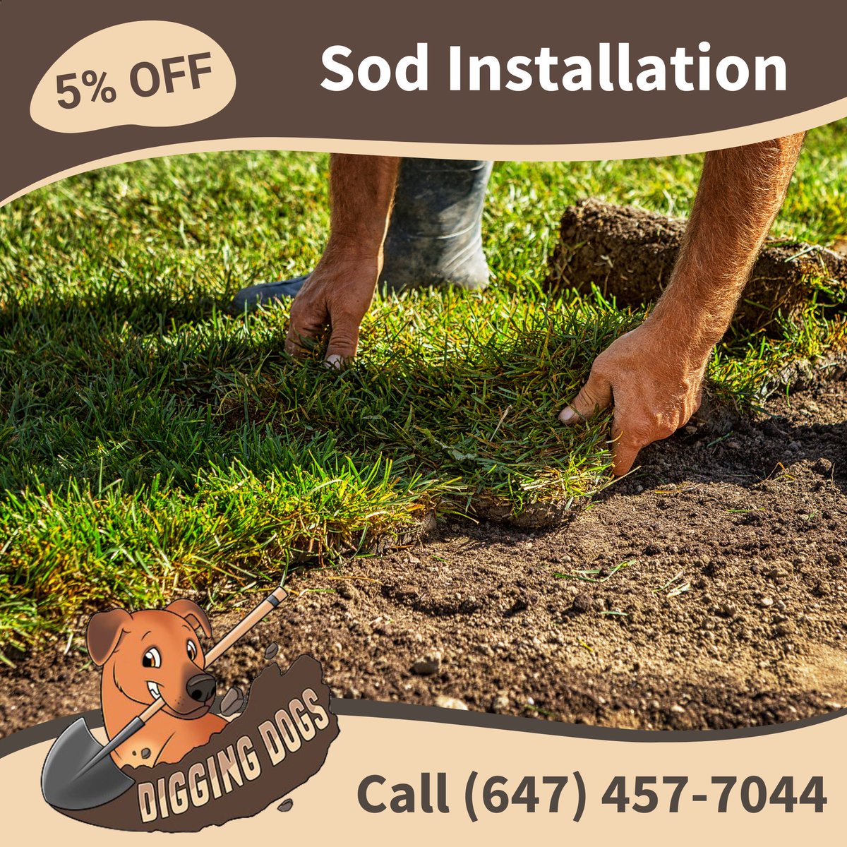 TheDiggingDogs tweet picture