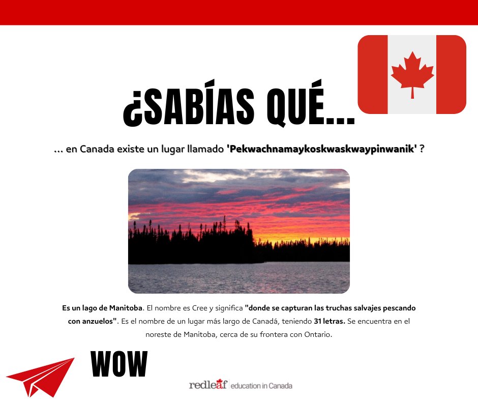 Red_Leaf_Spain's tweet photo. Nuestra sección más intelectual ➡️ #RLFunFacts 😲
Curiosidades de #Canada by #RedLeaf 🇨🇦 https://t.co/eF0BvgB56p