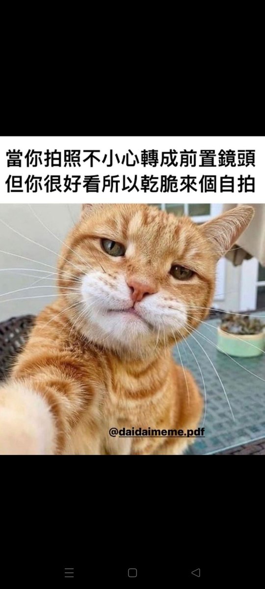 v552416's tweet photo. https://t.co/C7lGPnGUf4
