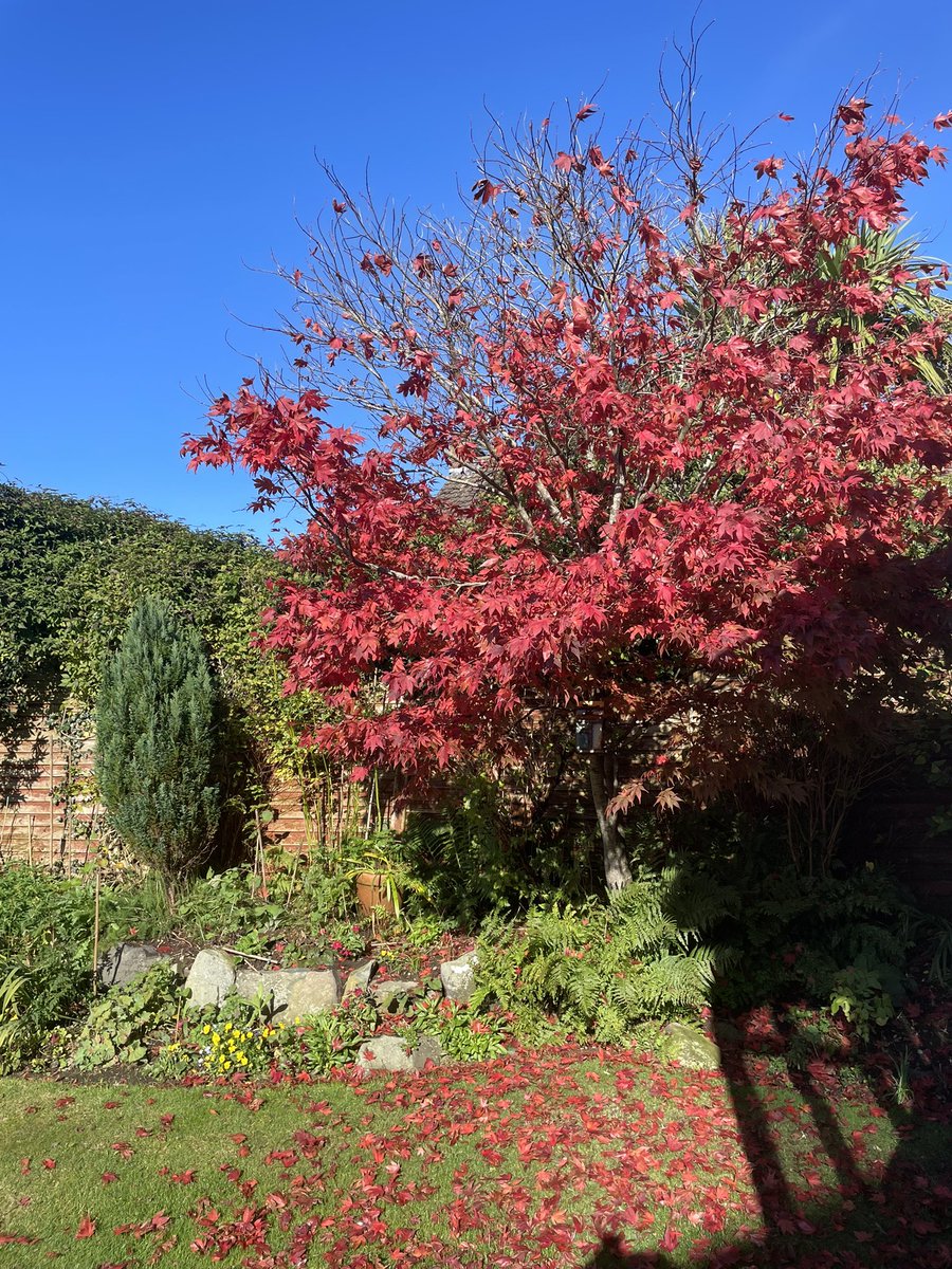 Looks like autumn is here!