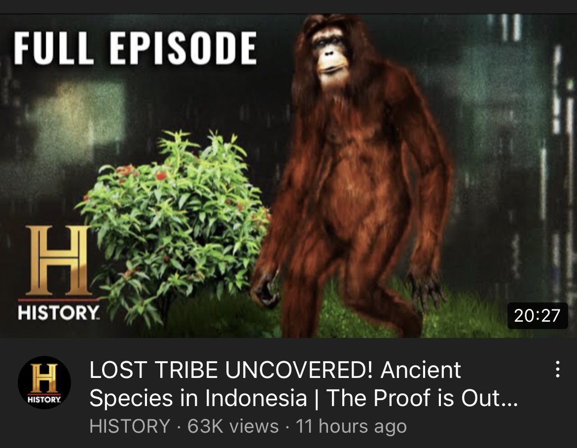 cryptidfiles - SOLD OUT tweet media
