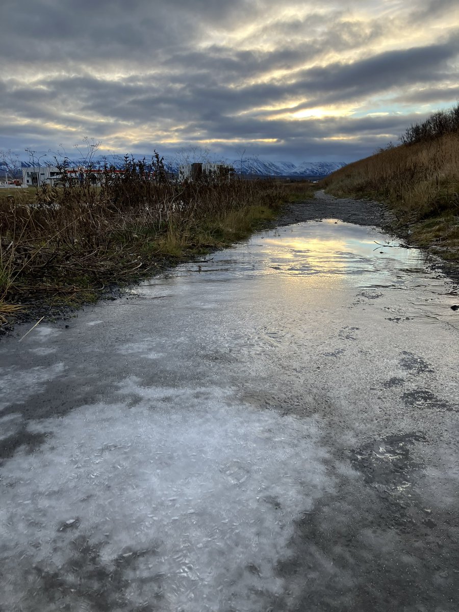 MR_ulfsdottir's tweet photo. 昨日　日曜日の朝の風景。
水たまりには氷が張っています。

Somewhere around where I live . #iceland #lifeiniceland #アイスランド #北欧暮らし #北アイスランド　#skagafjörður #winter #northerneurope https://t.co/2F09QcD0Jf