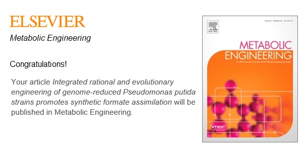 The work by @JustineTurlin et al. @LabNikel @DTUBiosustain reporting the first-case example of synthetic C1 assimilation in #Pseudomonas putida to appear in #Metabolic #Engineering @ElsevierConnect #SynBio · Great collaboration w/@DeMaria_SynBio @SteffenNLindner @BDronsella