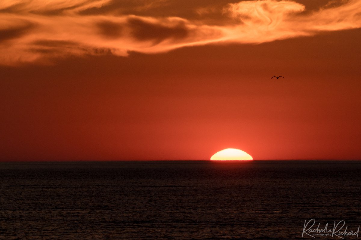 rachrichphoto's tweet photo. Nothing like being in my hometown for the weekend and being able to witness this incredible sunset over Lake Huron. #portelgin #lakehuron #saugeenshores #shareyourweather #thephotohour #sunsetsofcanada #hometown #sunset @KMacTWN 
https://t.co/dWenybsmvl https://t.co/Y2nWCxl9GG