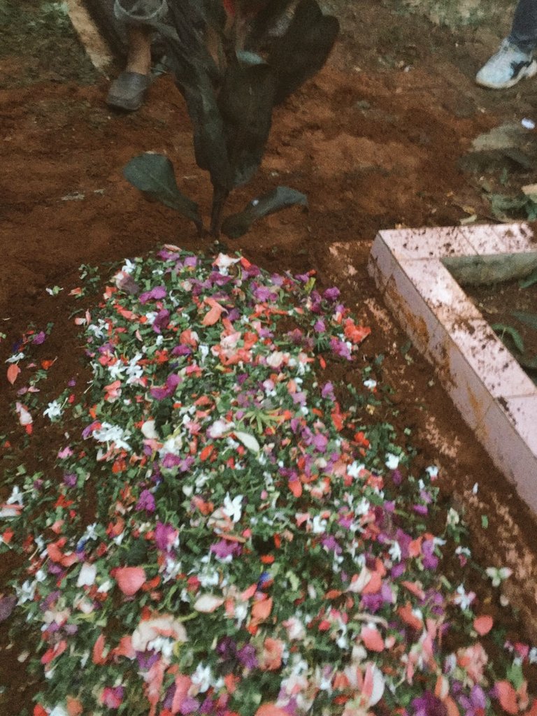 Innalillahi wainnailaihi rojiun, gak nyangka bapa bisa ninggalin aku ibu tth secepat ini, berasa mimpii:( bapa skrg udh gasakit lg😊 yg tenang disana ya pa, semoga bapa di terima di sisi Allah SWT Aamiin. Rest in peace and love pa🥀🕊💗💗💗