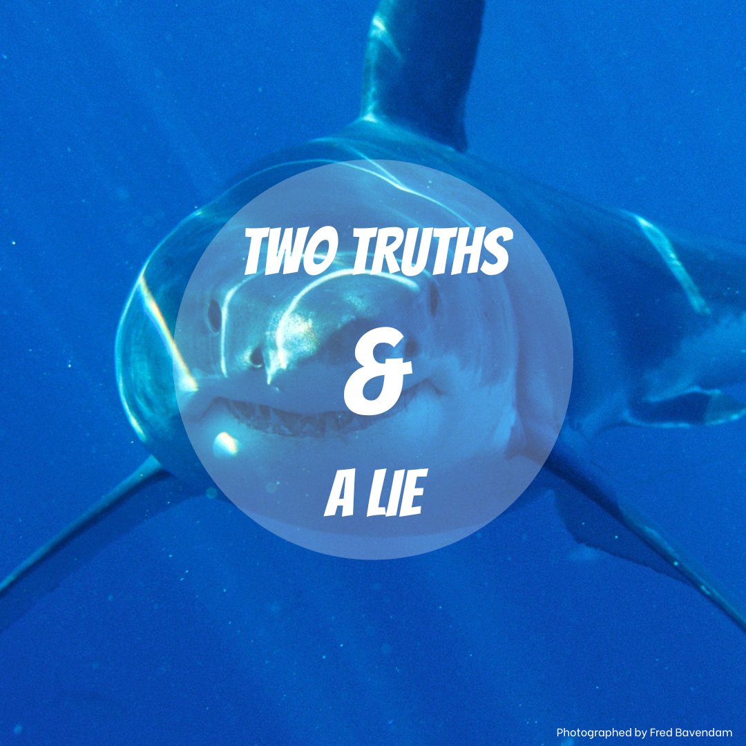 iSeaAnimals's tweet photo. Can you find the lie about sharks? 🦈🌊
a) sharks are older than trees
b) sharks live 20-30 years on average
c) sharks have 264 bones
#sharks #marinebiology https://t.co/Ak6w9FJvjm