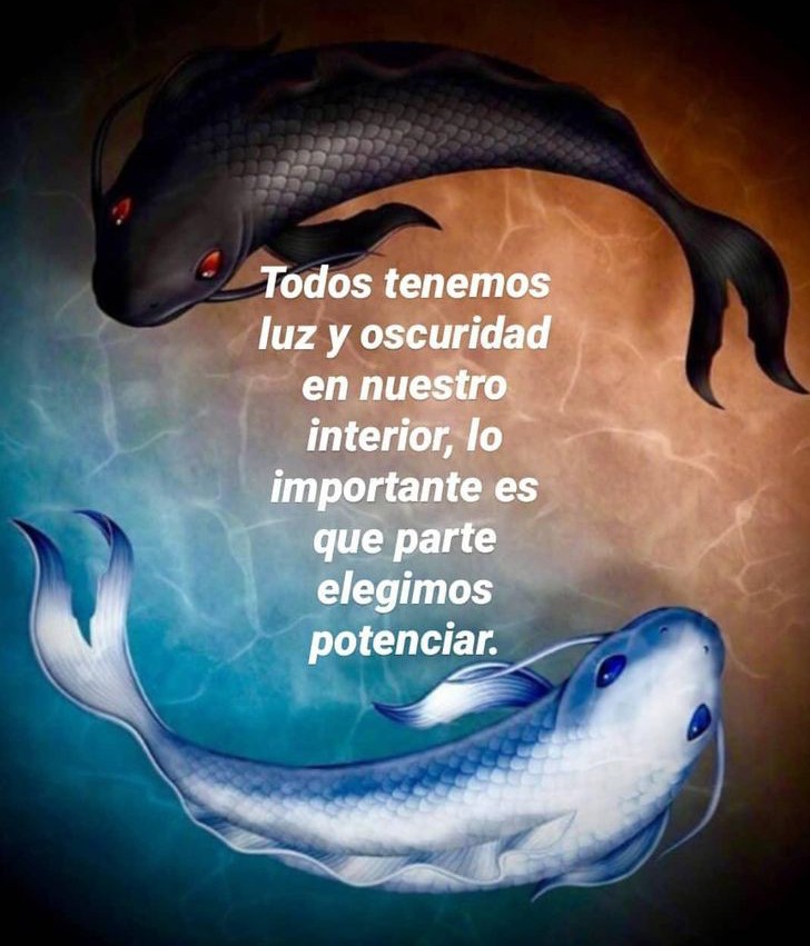 Simples assim 😘💙