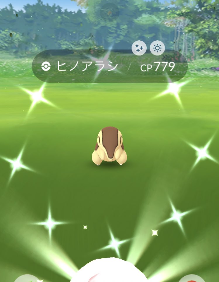 Mlle463 ポケモンgo 水場ウロチョロ勢 Mlle463 Twitter