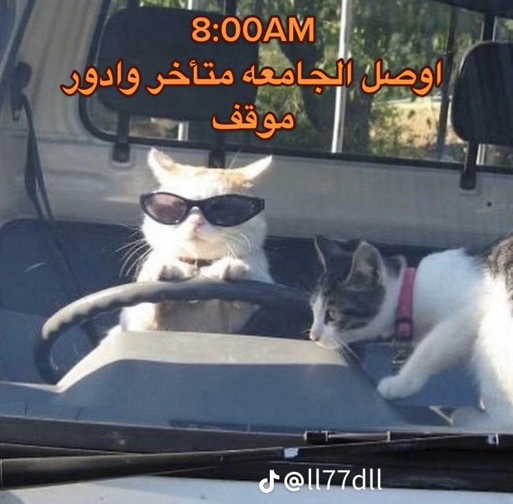 كل صبح بدون سبب: