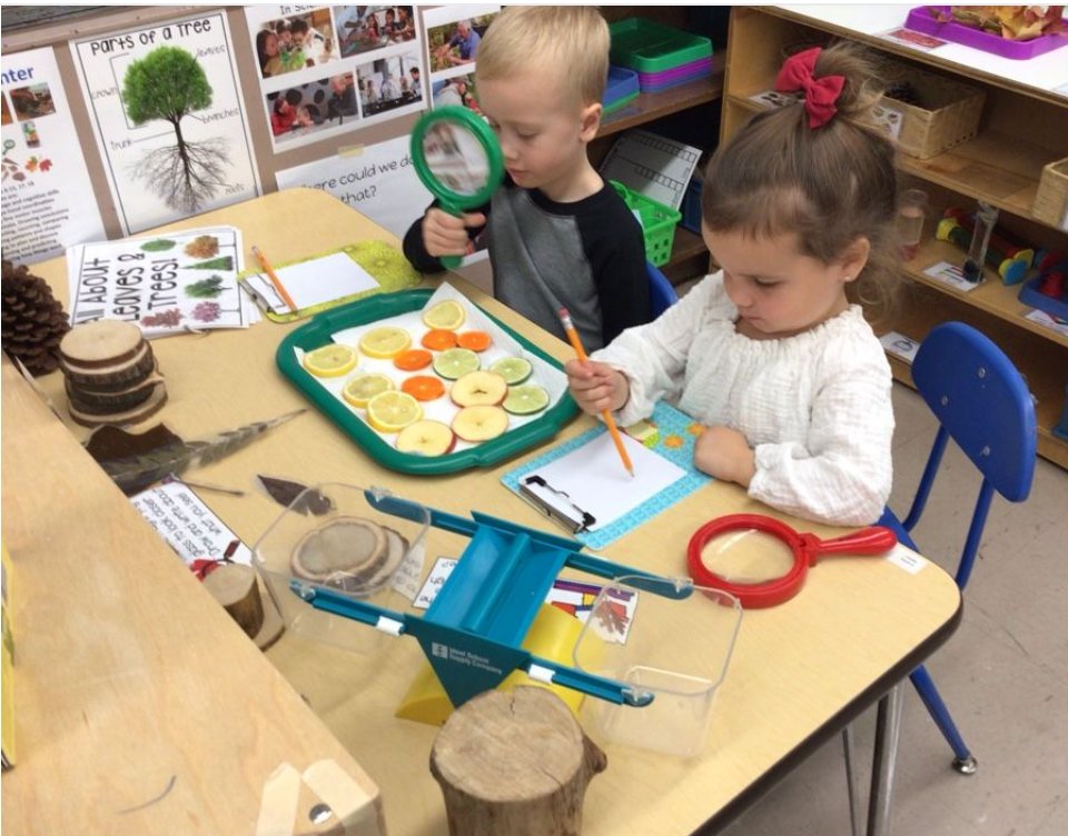 donnahaidle's tweet photo. Future Biologists in @donnahaidle's class at #Indiantrail58.  Bringing items from outside into the classroom offers young children an opportunity to explore and experience nature. #dg58pride https://t.co/kG2fqcio0f