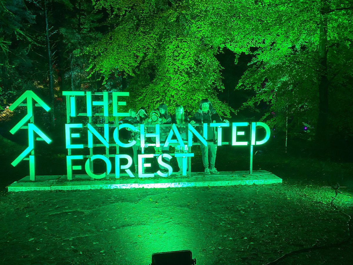 Christina_Cx's tweet image. ❤️✨ @Daviemac1893 #enchantedforrest